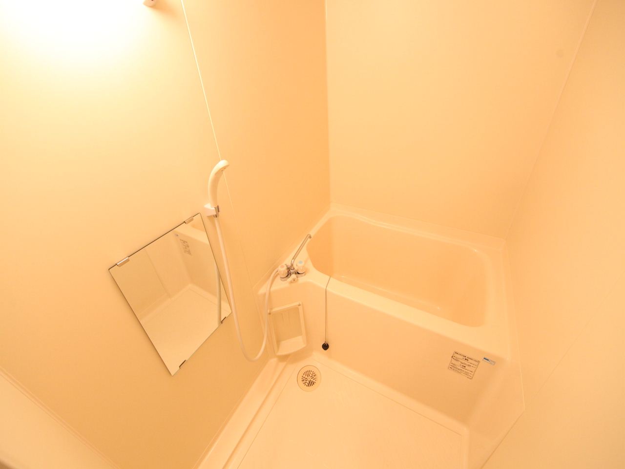 Bath. Bathroom (bath ・ Another toilet)