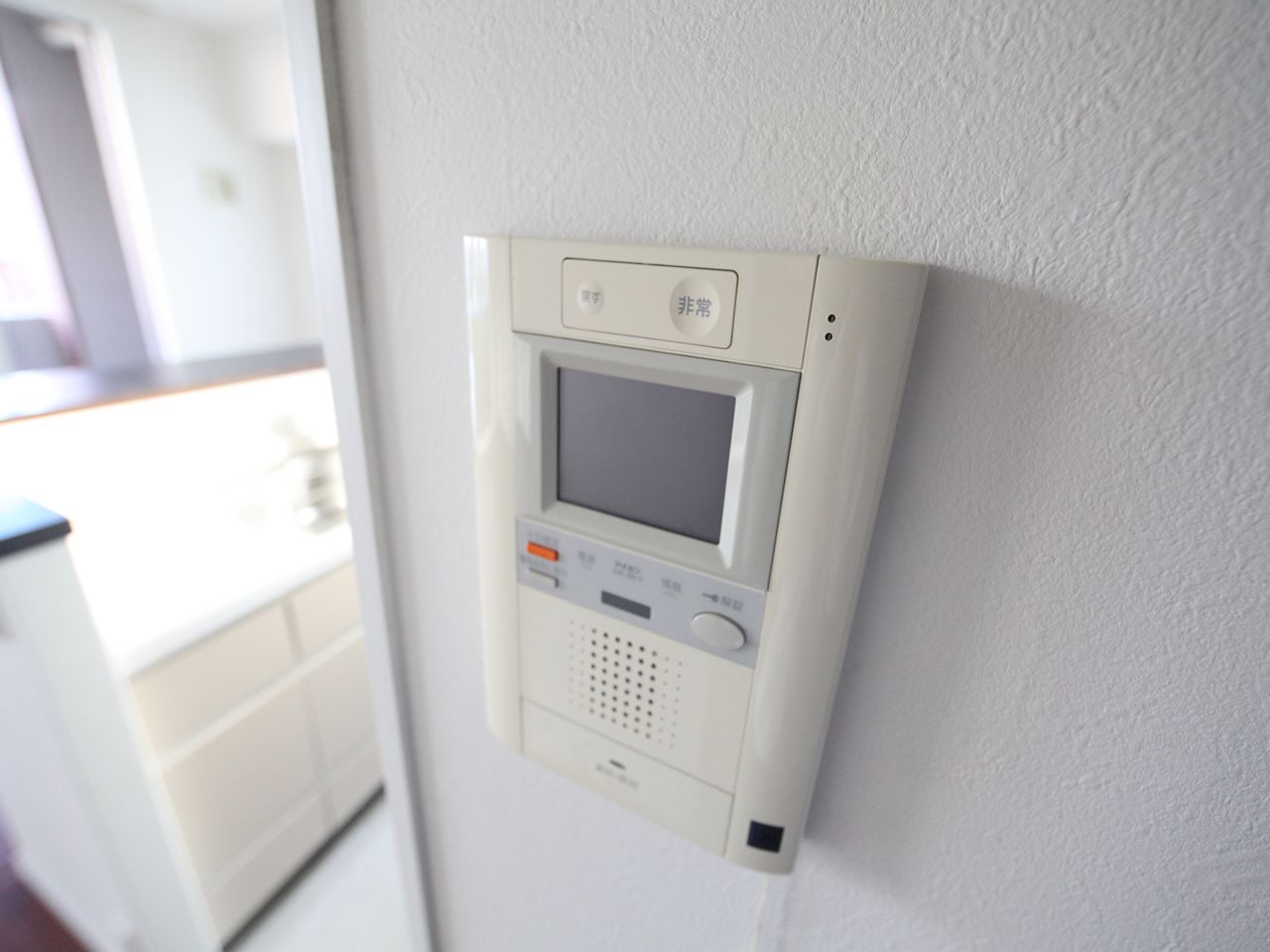 Security. Intercom with TV monitor