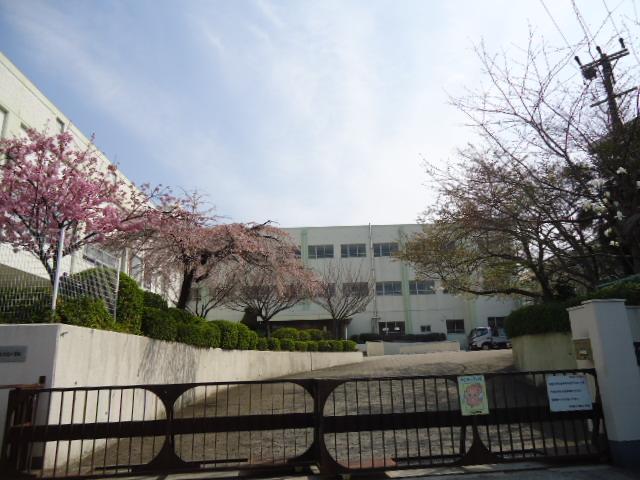 Other. Yatomi elementary school