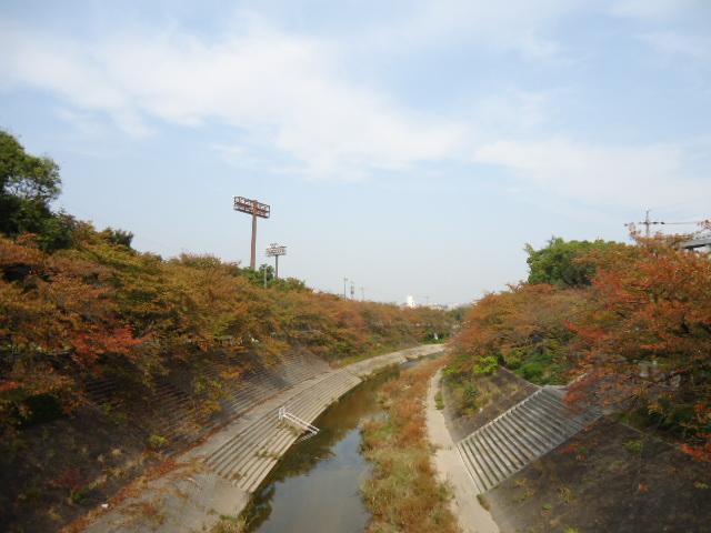 Other. Yamazaki River