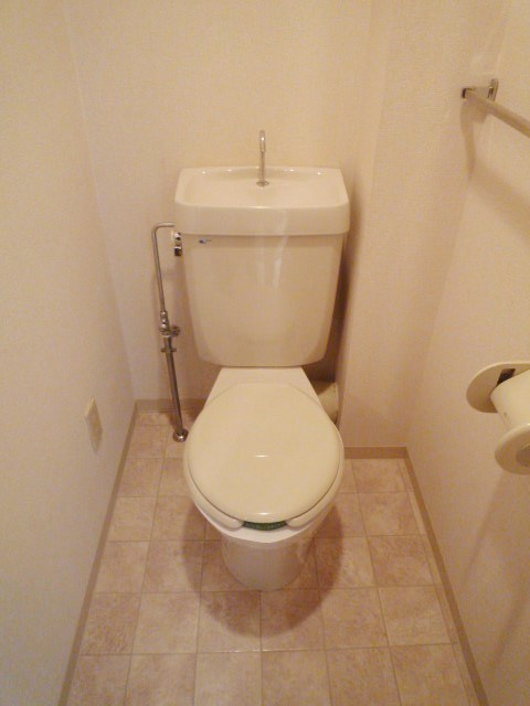 Toilet. Western-style toilet