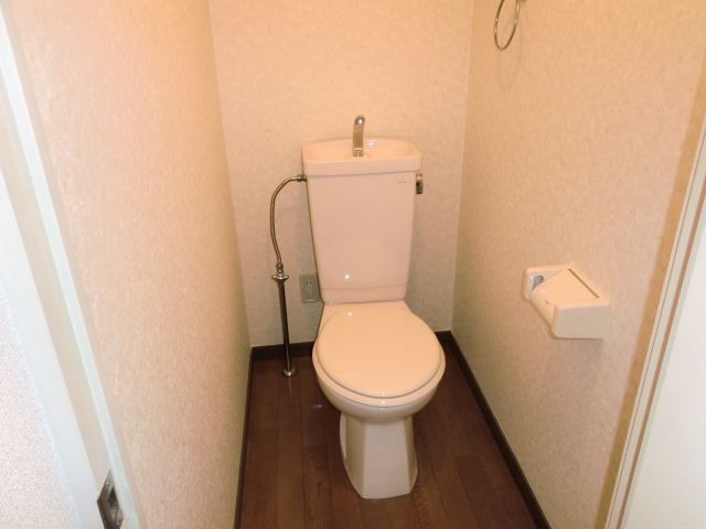 Toilet. It is with outlet! 