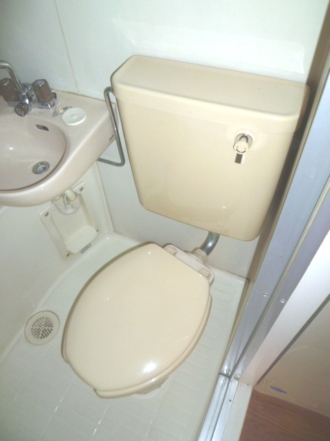 Toilet. Image substitute the ones of the same type model