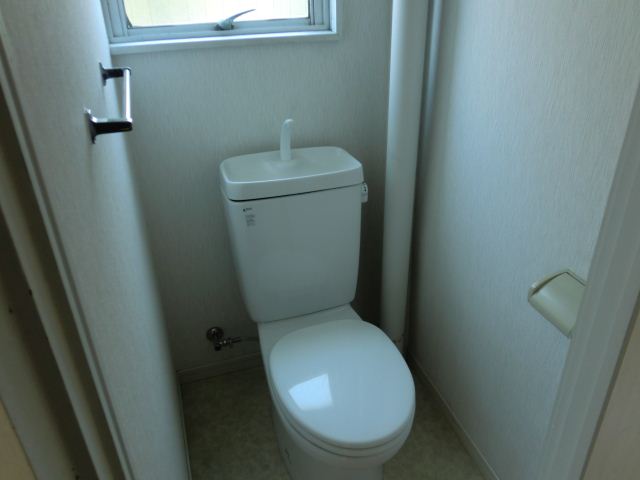 Toilet. Bright toilet!