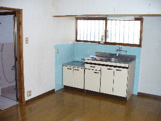 Kitchen. Bright kitchen