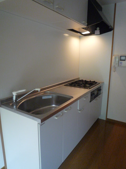 Kitchen. System Kitchen (3-neck with a gas stove)