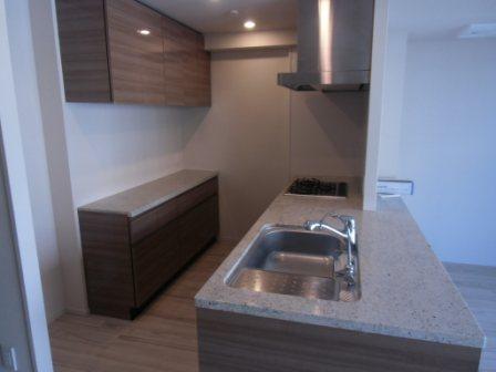 Kitchen. A shelf of built-in kitchen has a storage capacity, It is refreshing impression.
