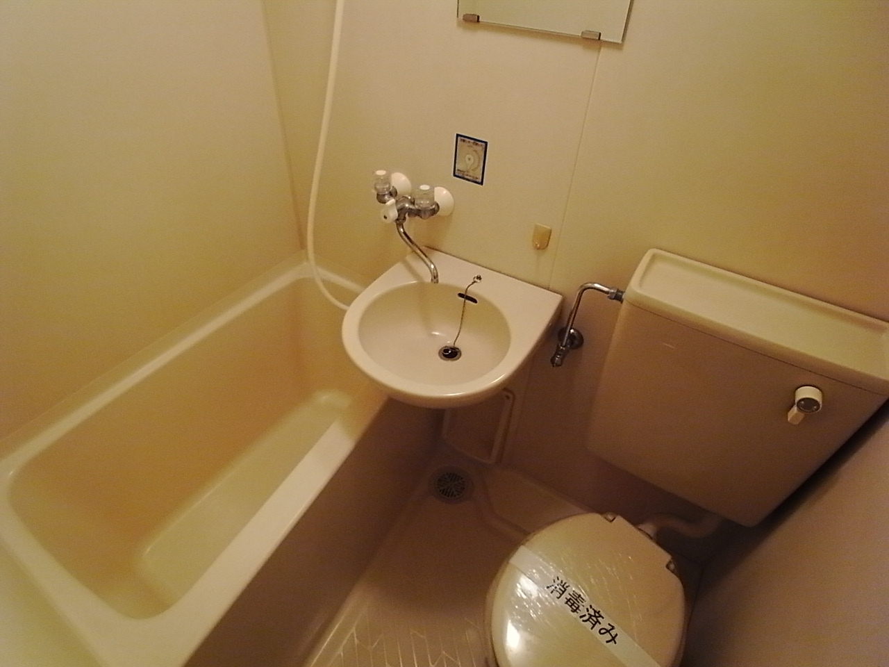 Toilet. toilet Bathing toilet