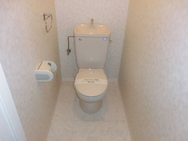 Toilet. Rest room with cleanliness