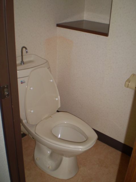 Toilet. Clean rest room