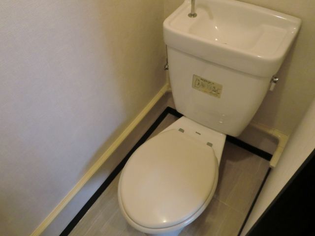 Toilet. separate!