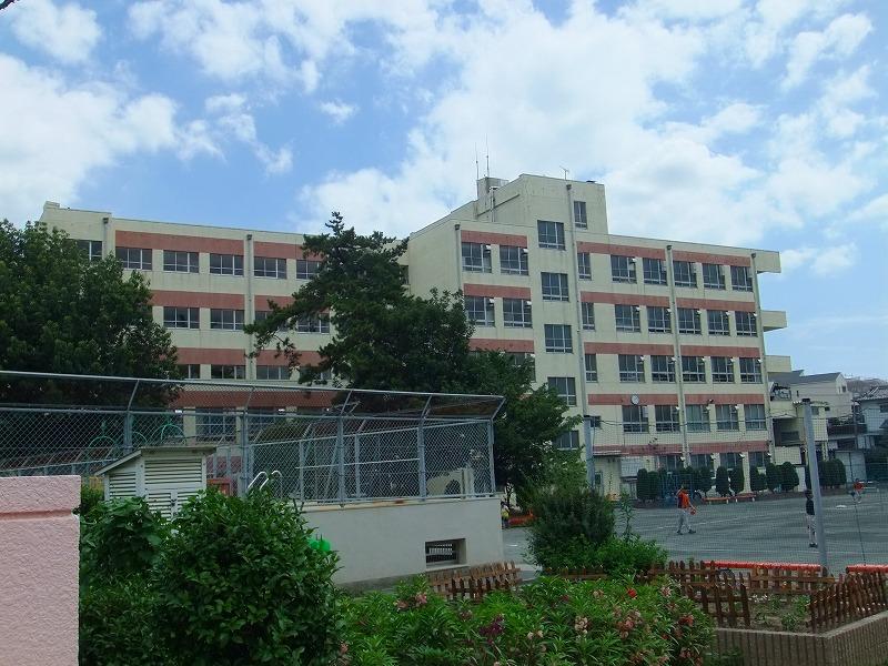 Primary school. Yang Ming Elementary School