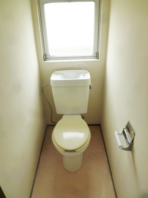 Toilet. Western-style toilet