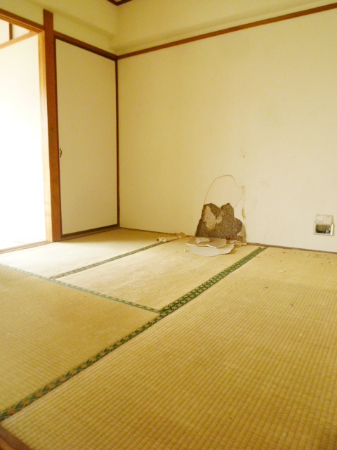 Other room space. Japanese-style room (4.5 Pledge)