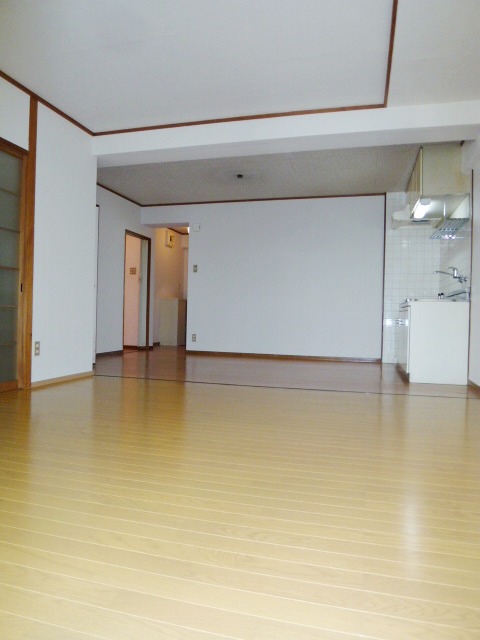Living and room. LDK (from the veranda side)