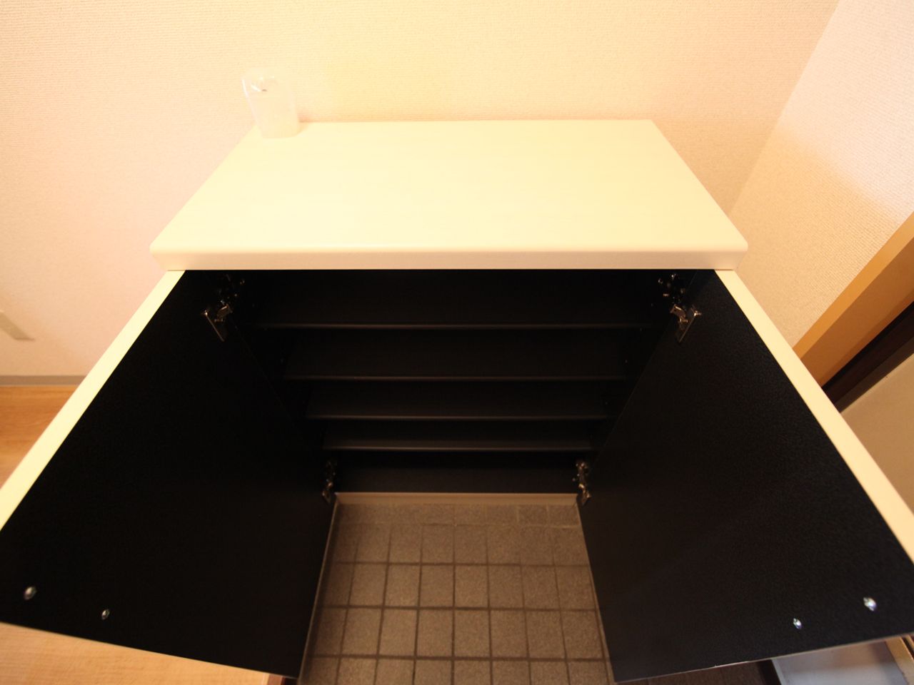 Entrance. Entrance Shoe box