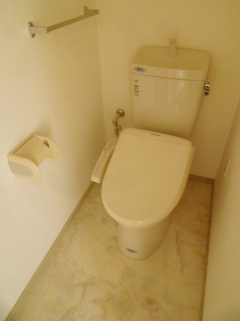 Toilet. WC (shower type)