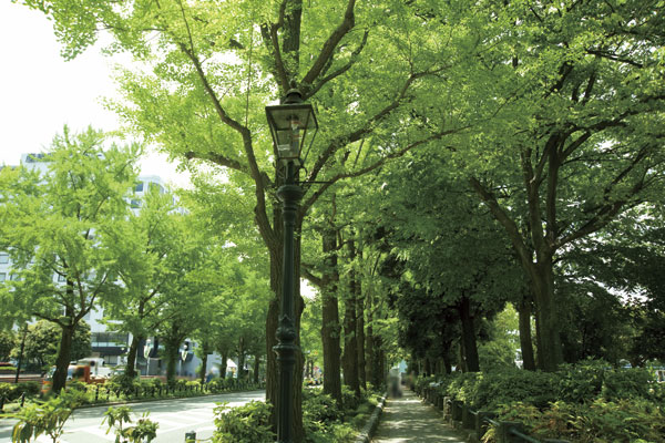 Surrounding environment. Including Mizuho Park in a 7-minute walk (about 560m), Pavement has been cherry trees spread Yamazaki River along etc., Facilities dotted suitable for a walk and sports. Also, Seminar of Mizuho children's house (about 650m) in for families with children of infants are also held, Parenting friendly environment are also well-equipped