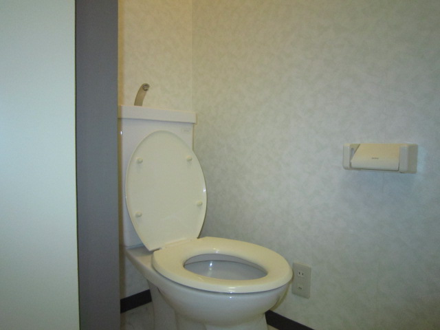 Toilet. Can be stored the equipment there is a shelf at the top