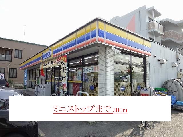 Convenience store. 300m until Minisutopppu (convenience store)
