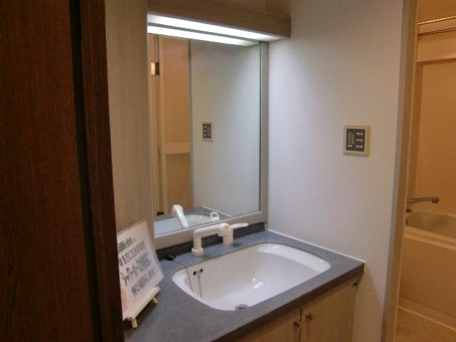 Wash basin, toilet. Indoor (11 May 203 years) shooting