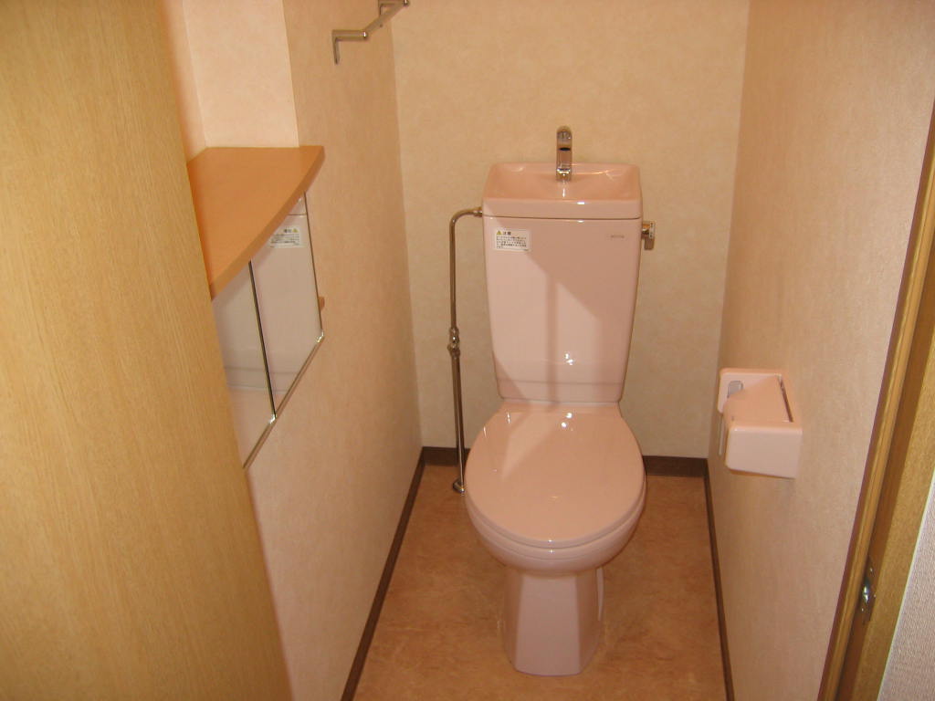 Toilet. Clean space with sanitary BOX