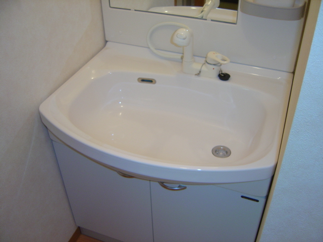 Washroom. Easy to use in a large bowl and single lever