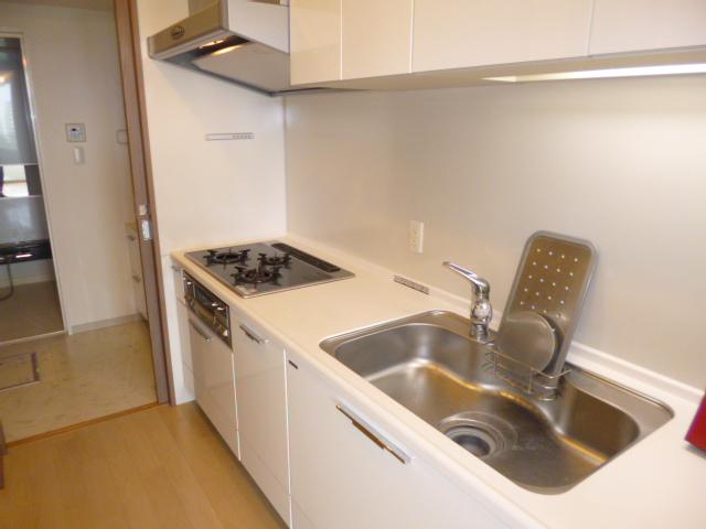 Kitchen. Indoor (June 2013) Shooting