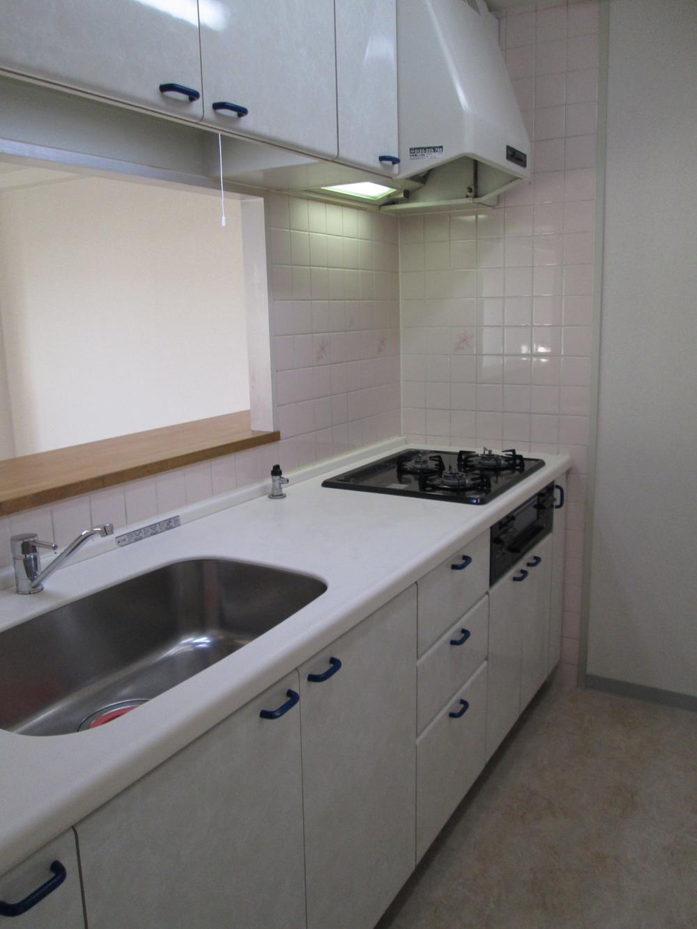 Kitchen. Face-to-face with kitchen counter