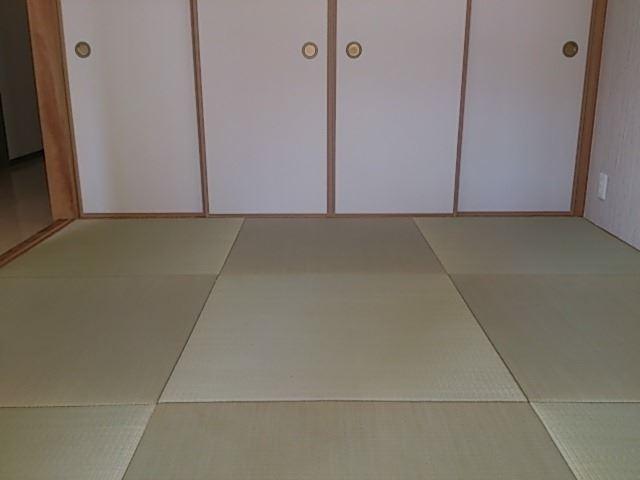 Other introspection. Local (11 May 2013) Shooting