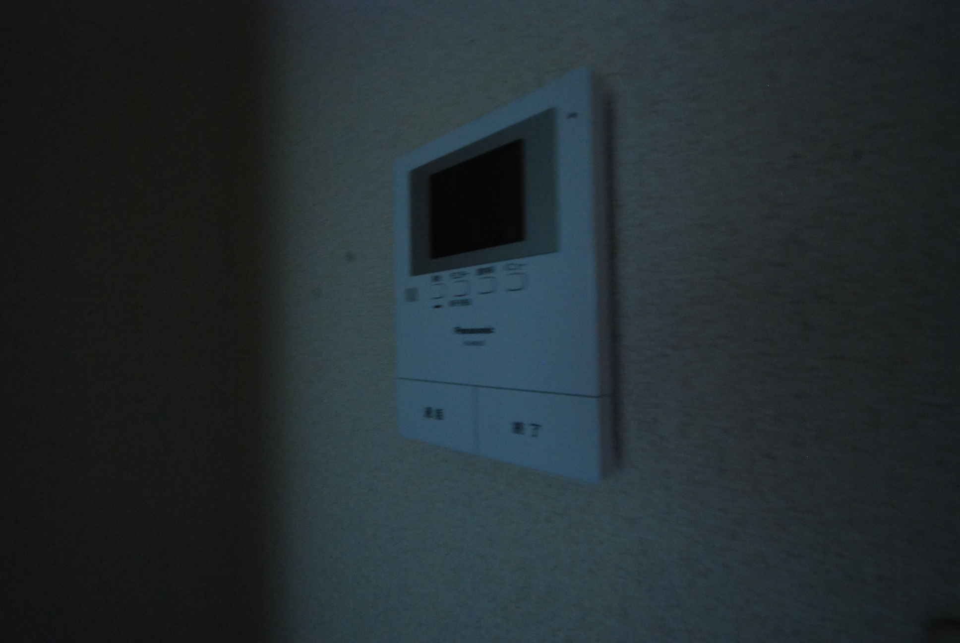 Security. Camera-equipped intercom