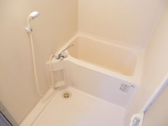 Bath. It is the bath of comfortable size. 