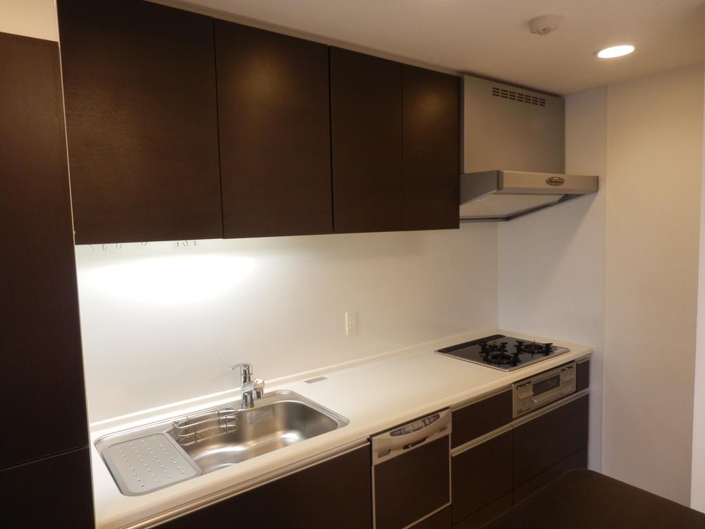 Kitchen. Indoor (12 May 2011) Shooting