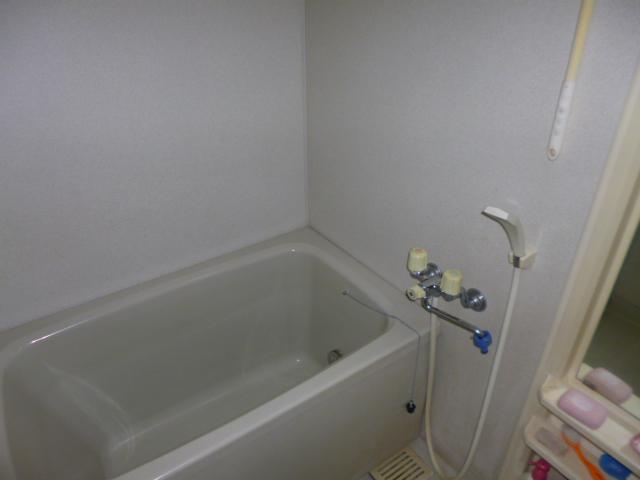 Bathroom. Indoor (10 May 2013) Shooting