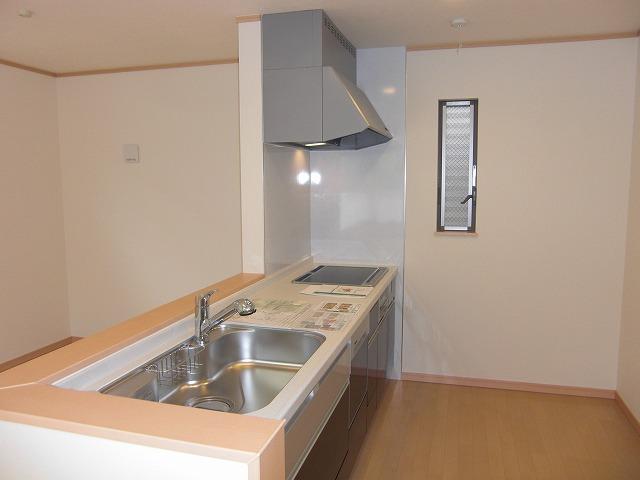 Kitchen. Chic color of monotone color! It is with dish washing and drying machine! 