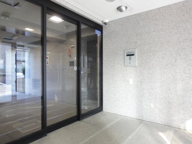 Entrance. Monitor with auto-lock & security camera installation