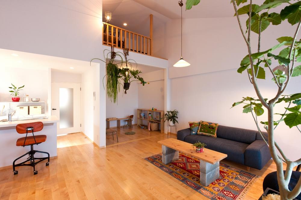 Living. Indoor (June 2013) Shooting