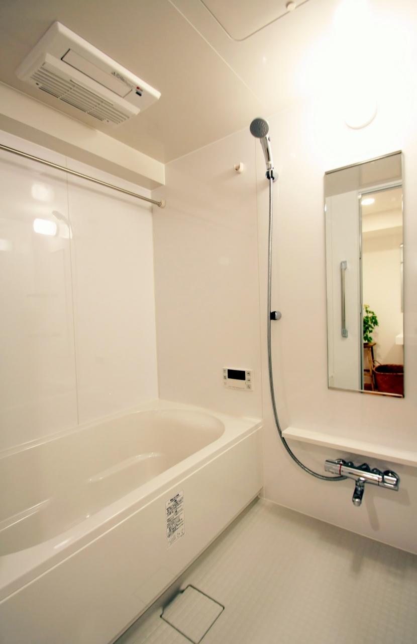 Bathroom. Indoor (June 2013) Shooting