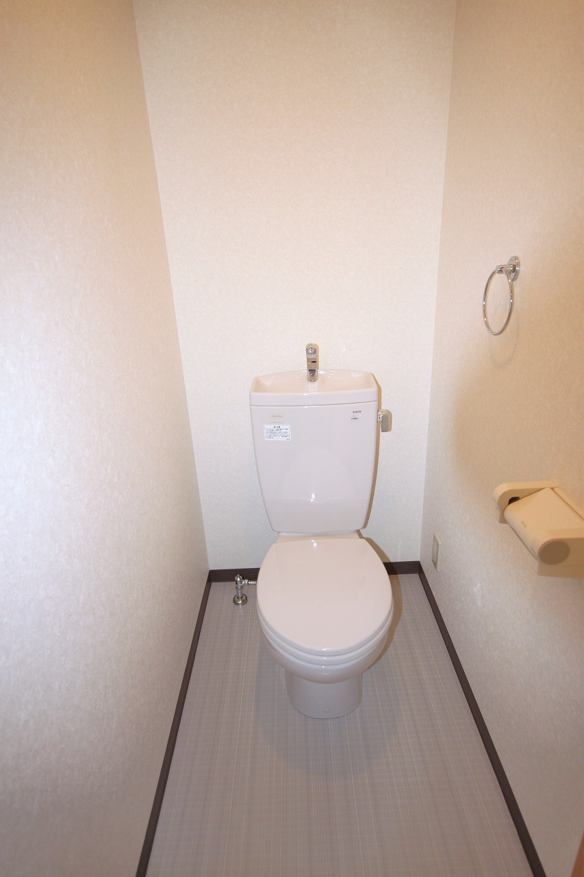 Toilet. It is a photograph of the same type