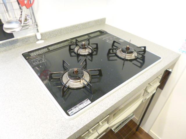 Kitchen. Gas stove (November 2013) Shooting