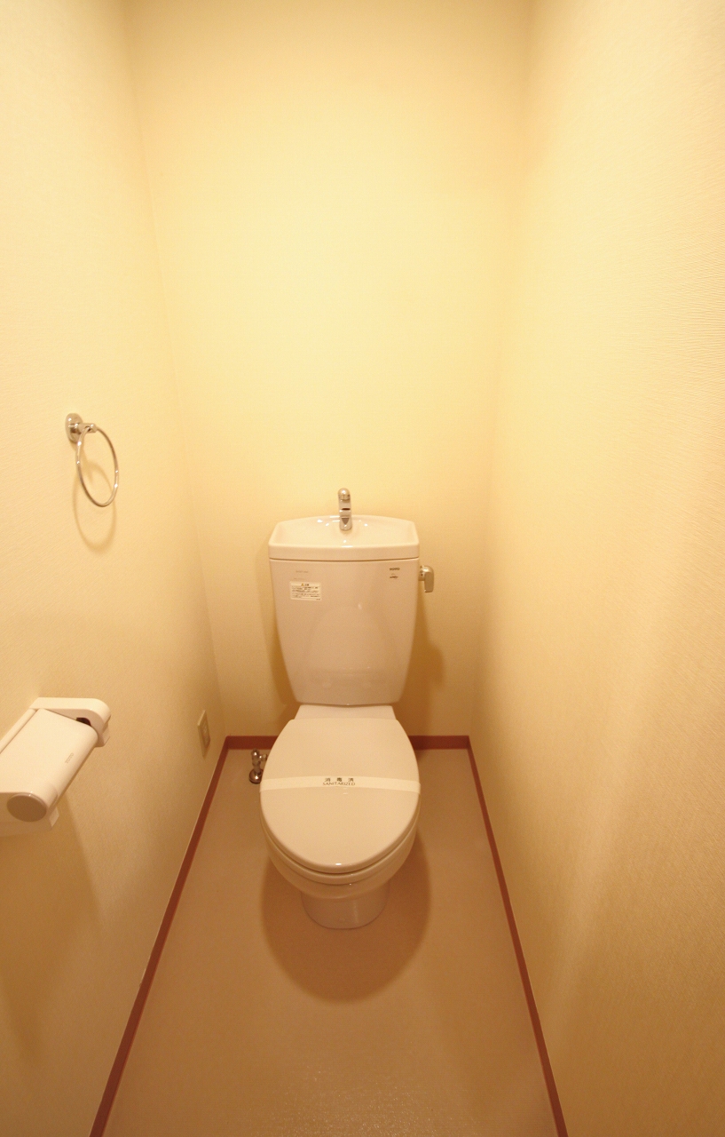 Toilet. It is a photograph of the same type