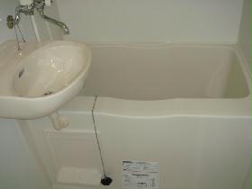 Bath. Bath (with bathroom dryer)
