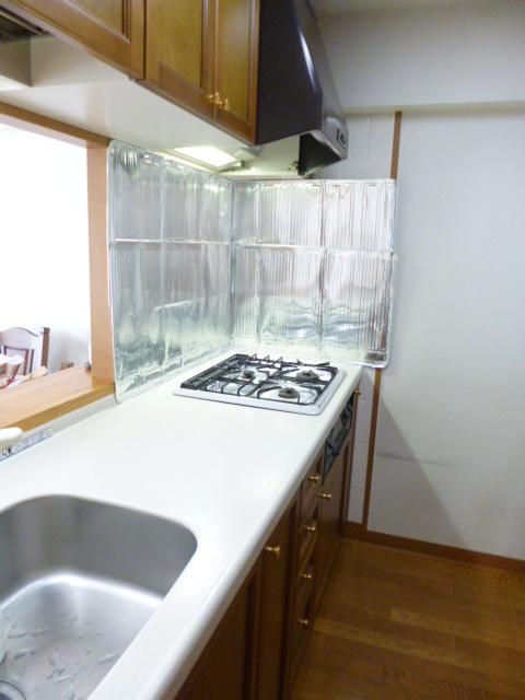 Kitchen. Indoor (12 May 2013) Shooting