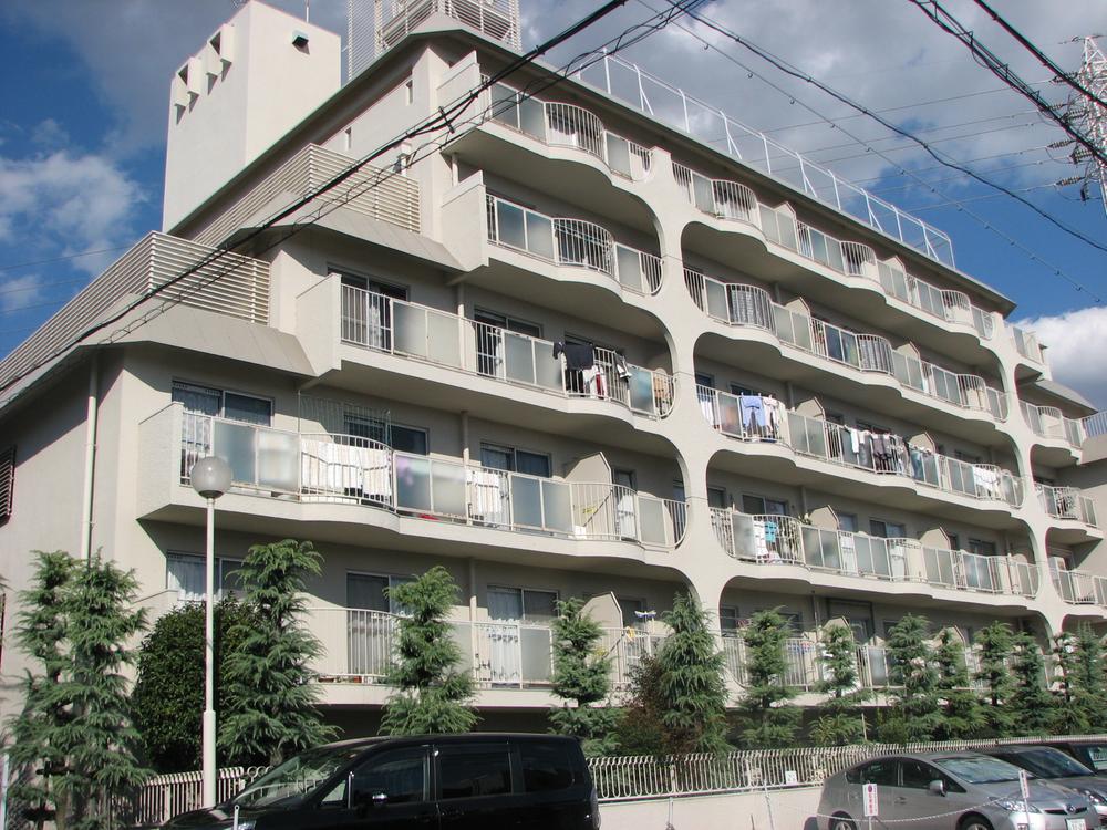 Local appearance photo. Local (11 May 2013) Shooting