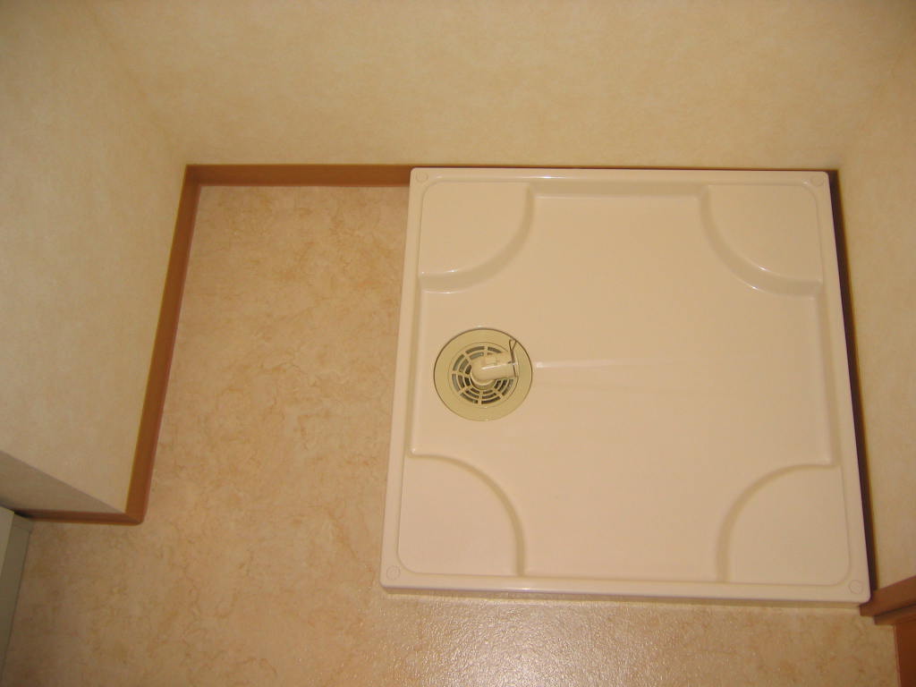 Washroom. Vanities of the lateral is indoor washing machine Storage.