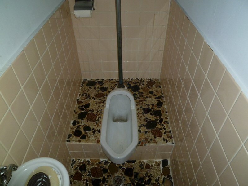 Toilet