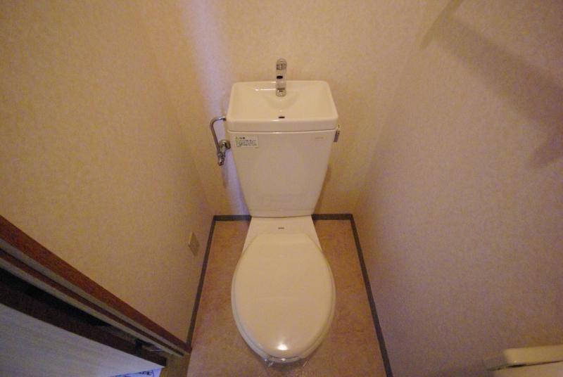 Toilet. Toilet