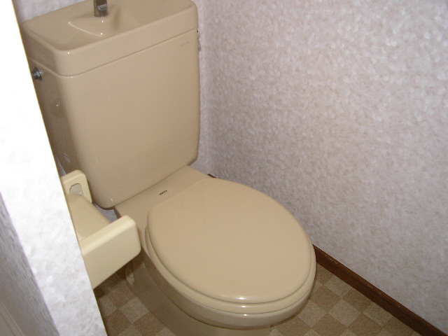 Toilet. Toilet