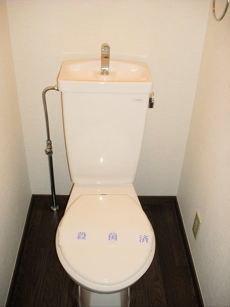 Toilet. Toilet