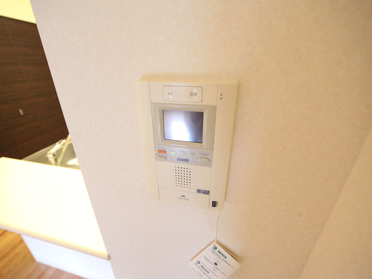 Security. Intercom with TV monitor